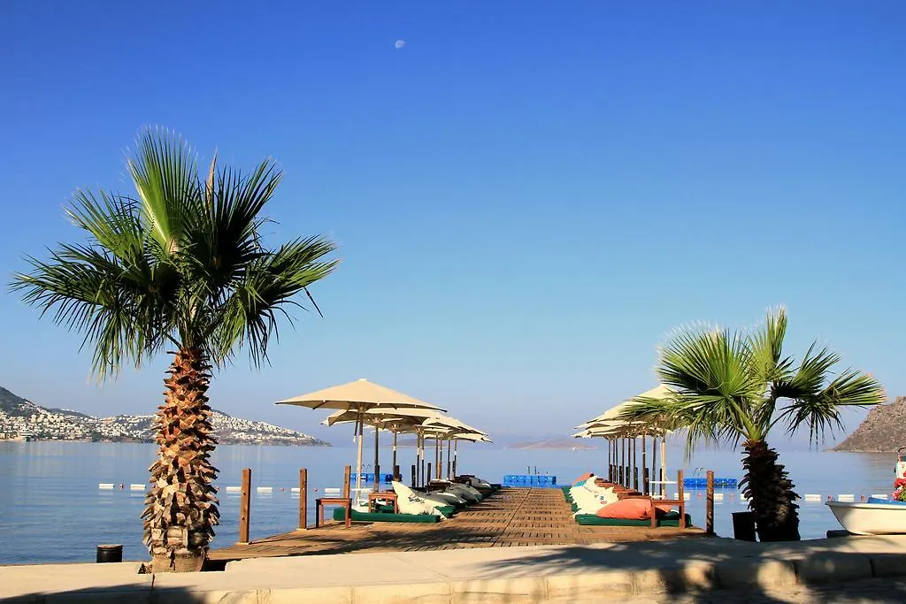 Elite Hotel Bodrum Яликовак 4*,
